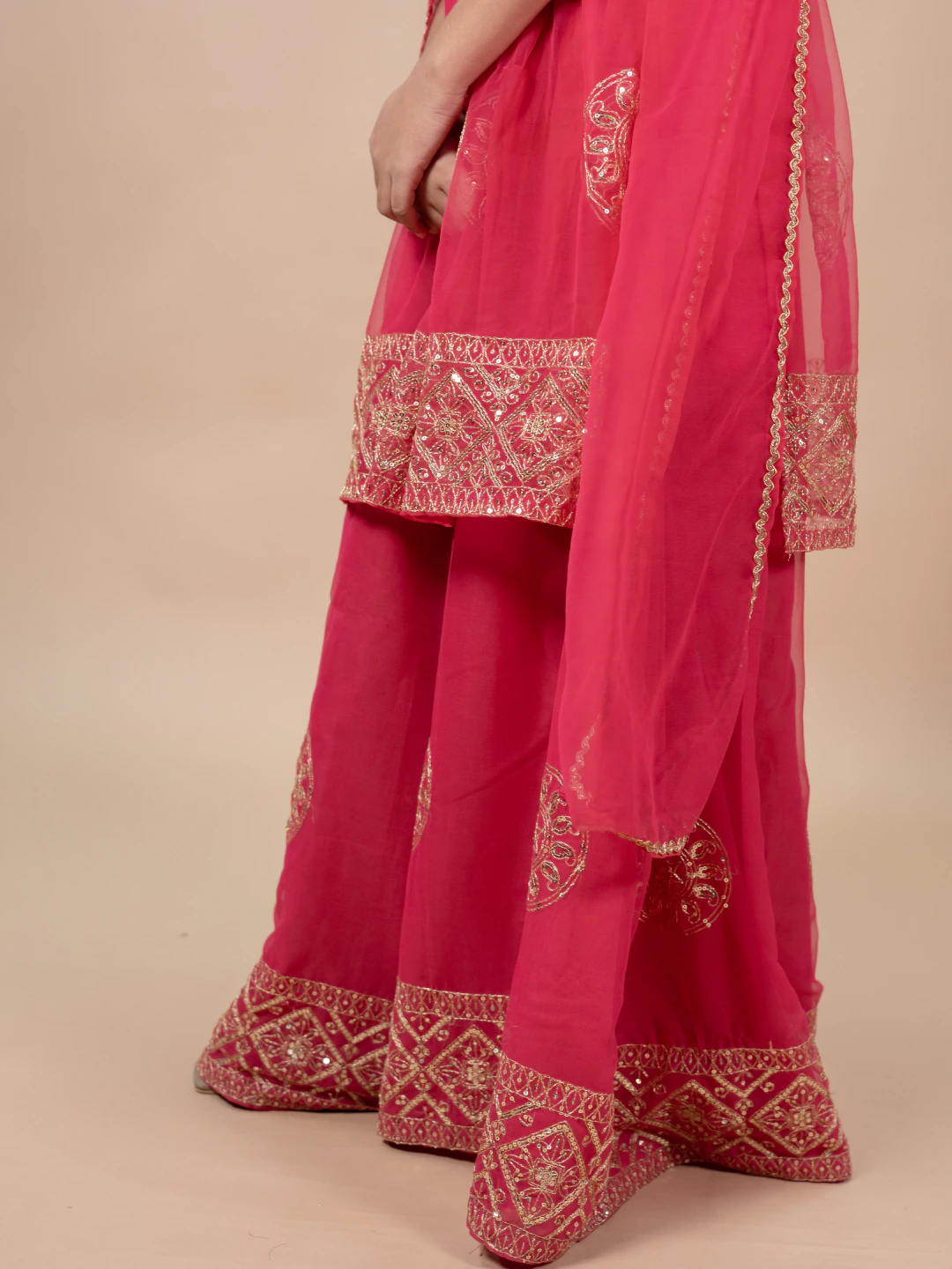 Rani Color Anarkali Suit